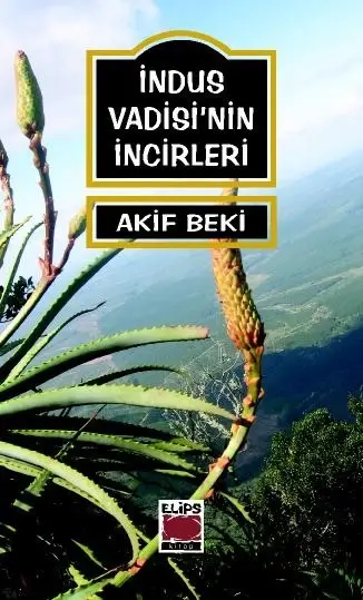 İndus Vadisi´nin İncirleri