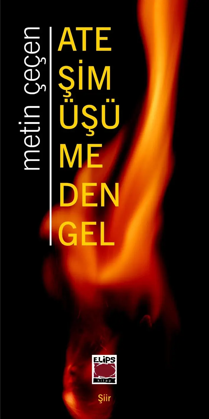Ateşim Üşümeden Gel